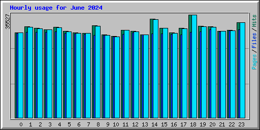 Hourly usage for June 2024