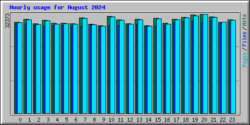 Hourly usage for August 2024