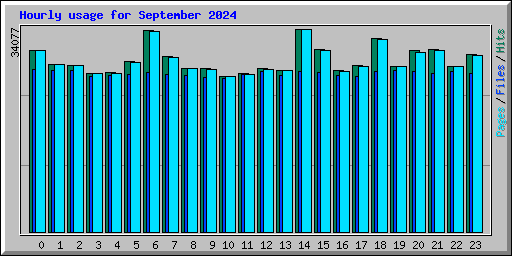 Hourly usage for September 2024