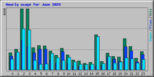 Hourly usage for June 2025