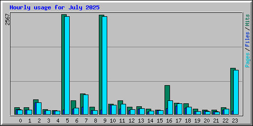 Hourly usage for July 2025