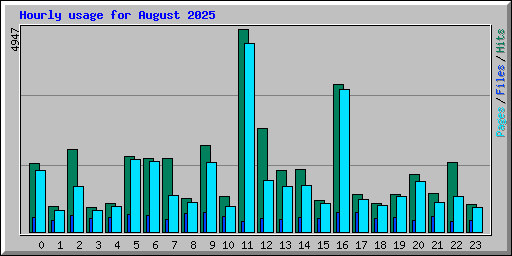 Hourly usage for August 2025